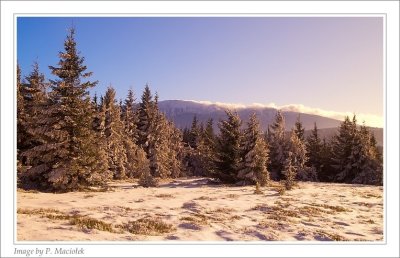 Halny at Babia Gora