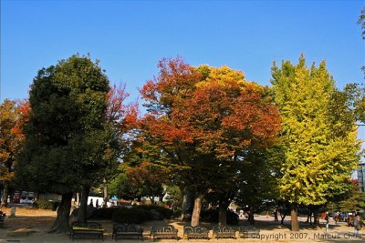 g6/37/602937/3/90337872.3YxYWUw0.jpg