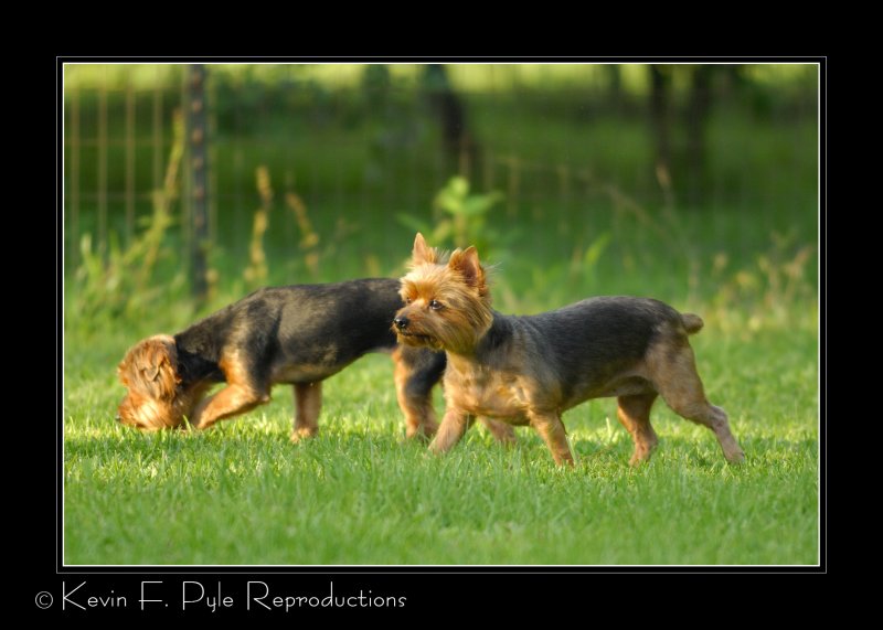 _DSC6616tn.jpg