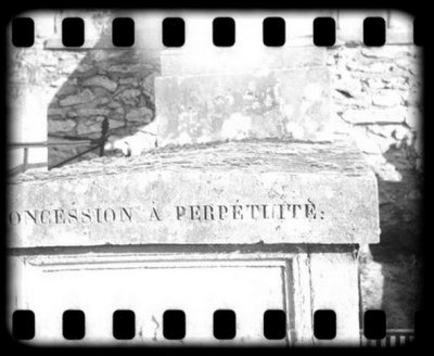 regards  perptuit