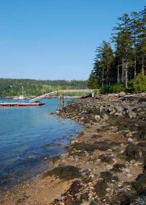 Northeast Harbor  Acadia N.P.