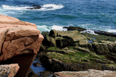 Rocks & tidal pools  Acadia N.P.