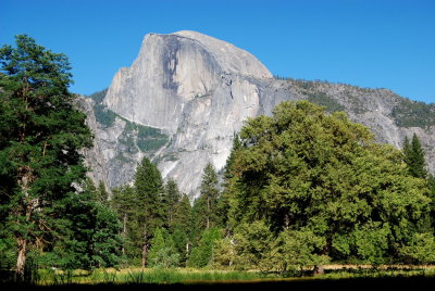 Half Dome Yosemite NP