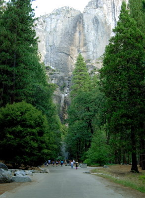 Yosemite Falls Yosemite NP