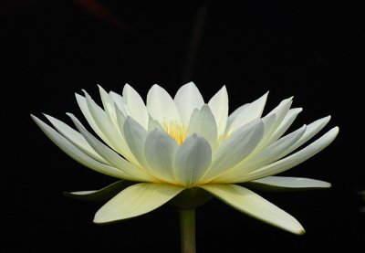 g6/37/660437/3/84844689.yzUqxGEU.jpg