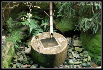 Contented Basin