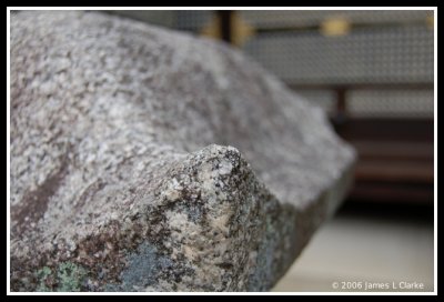 Ninna-ji Up Close