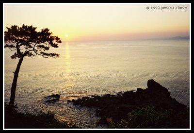 The South Coast of Kagoshima Prefecture