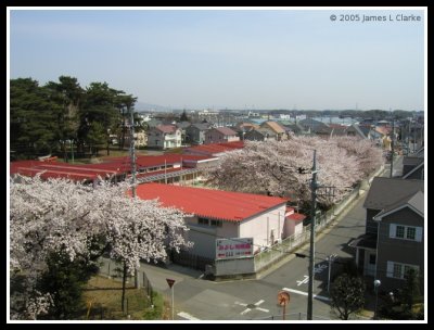 The view from the Apartment Block