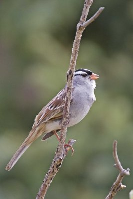 IMG_1879.jpg