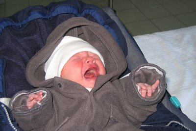 sized-IMG_0549.JPG