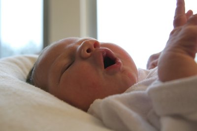 sized-IMG_5434.JPG
