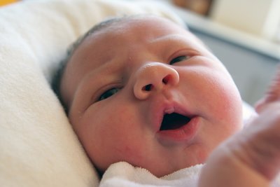 sized-IMG_5441.JPG