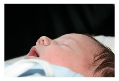 sized-IMG_5562.JPG