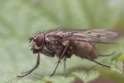 sizedIMG_4250-01.JPG