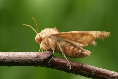 sizedIMG_5695.JPG