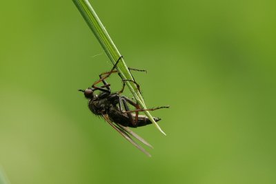 sizedIMG_5684.JPG