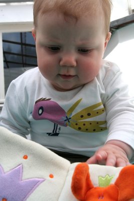 sizedIMG_6409.JPG