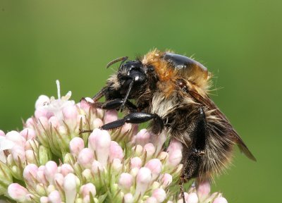 sizedIMG_6753.JPG