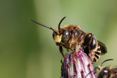 sizedIMG_8118.JPG