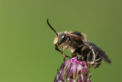 sizedIMG_8075.JPG