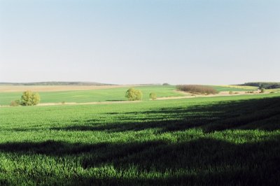43990024.jpg