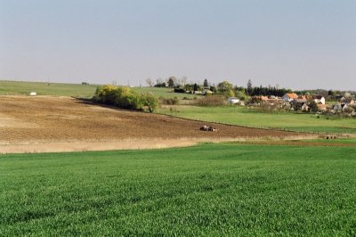 43990026.jpg
