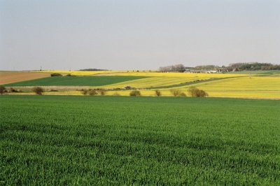 43990027.jpg