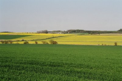 43990028.jpg