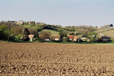 43990029.jpg