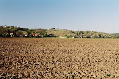43990030.jpg