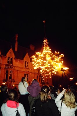 Tűz show - Fire show02.jpg