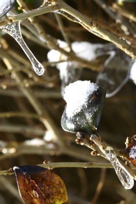 icicles at an angle