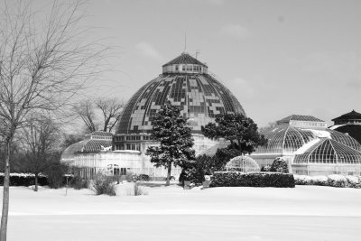 Whitcomb Conservatory & Botanical Gardens