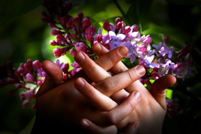 hands full of lilacs