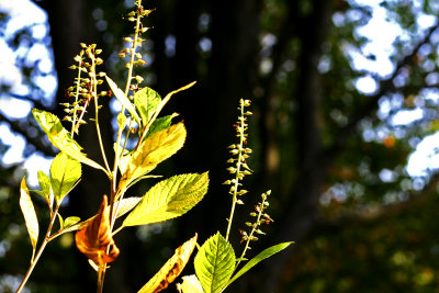 Fall is here