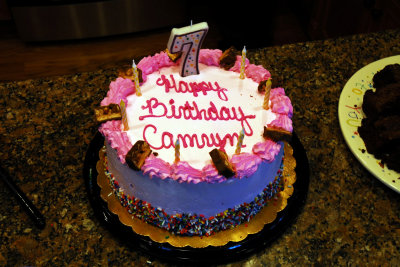 Cammy's 7th Birthday Cake.jpg