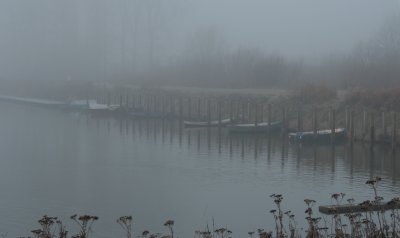 Img_4297.1.jpg
