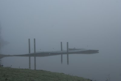 IMG_4309.jpg
