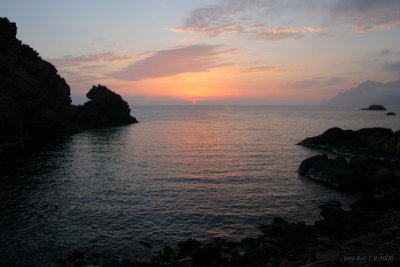 IMG_9010.1jpg