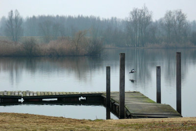 117_1728.3.jpg