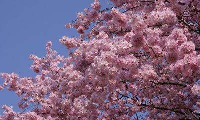 IMG_2991.1.jpg