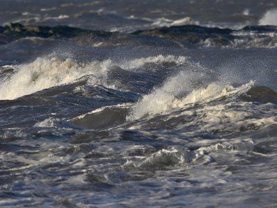 Fife Ness incoming tide 22nd January 2007