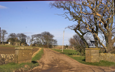 Balcomie - road leading to the Walled Garden