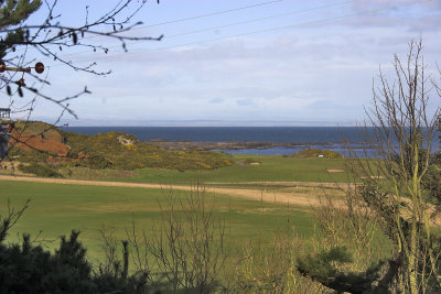 The Patch - looking north