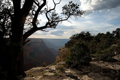 Grand Canyon