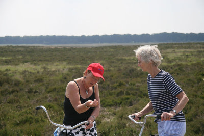 veluwe29.jpg