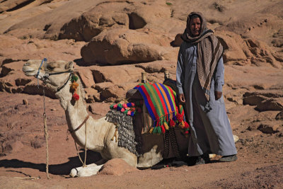 Bedouin and camel_MG_4047-1.jpg