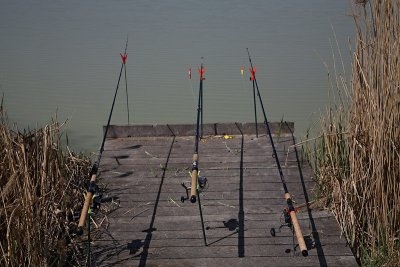 Fishing rods ribike palice_MG_2107-1.jpg
