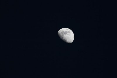Moon luna_MG_8197.1.jpg